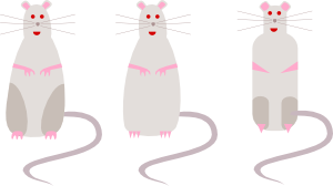 free vector Rat clip art