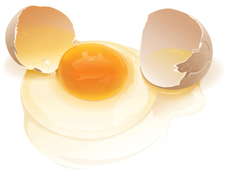 free vector Realistic vector eggs