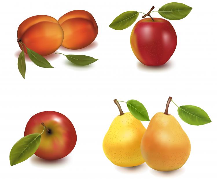 Realistic fruits (93628) Free EPS Download / 4 Vector