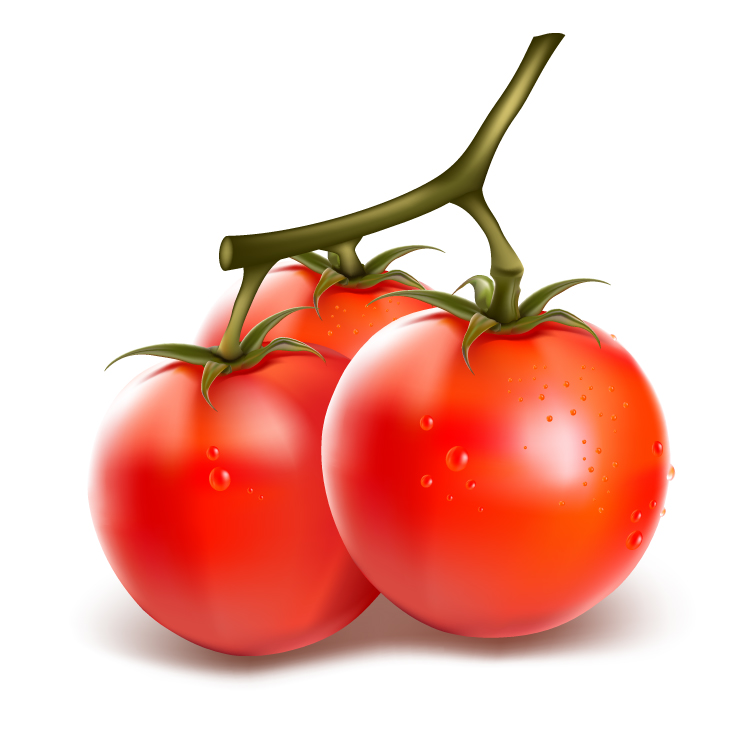 Realistic vegetables (93624) Free EPS Download / 4 Vector