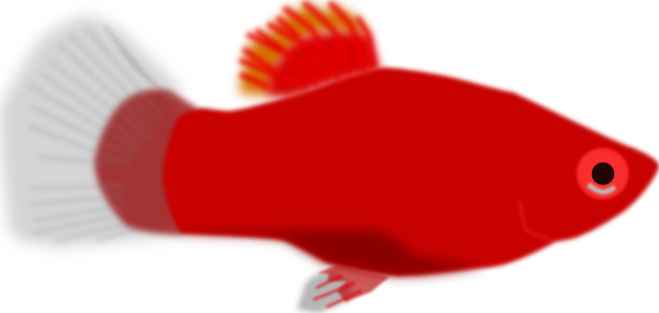 free vector Red Aquarium Fish clip art