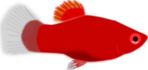 Download Red Aquarium Fish clip art (106957) Free SVG Download / 4 ...