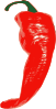 free vector Red Chili Pepper clip art
