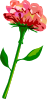 free vector Red Flower clip art