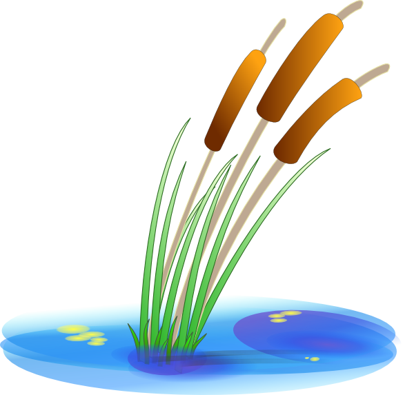 free vector Reed clip art