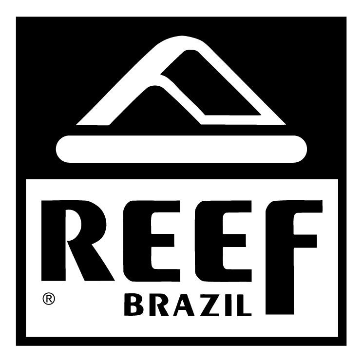 free vector Reef brazil