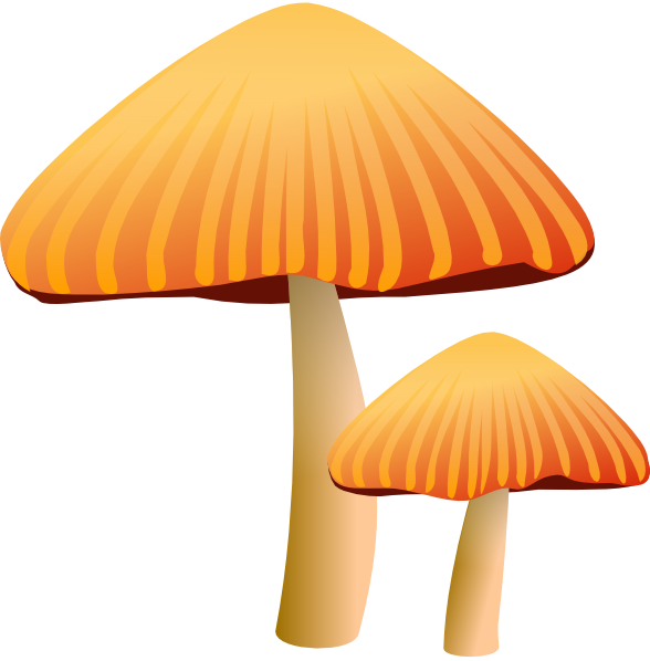 free vector Rockraikar Orange Mushroom clip art