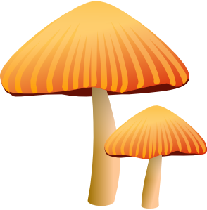 free vector Rockraikar Orange Mushroom clip art