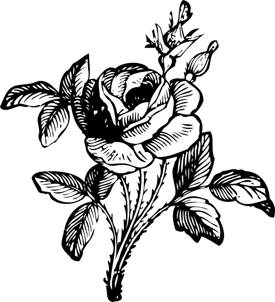 free vector Rose clip art