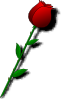 free vector Rose Red Flower clip art