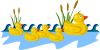 free vector Rubber Duck Family Swimming clip art