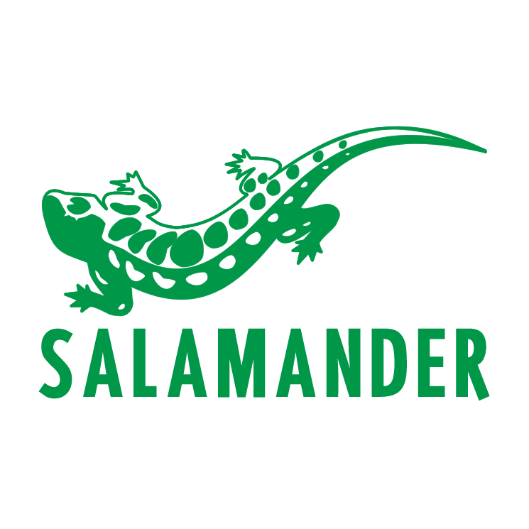 free vector Salamander 1