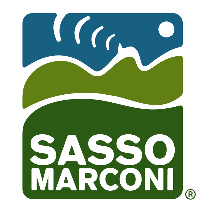 free vector Sasso marconi