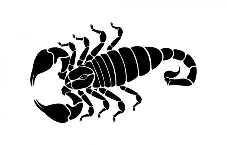 free vector Scorpion silhouette vector