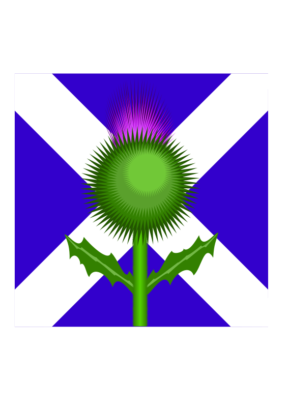 free vector Scottish Thistle and flag