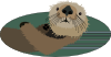 free vector Sea Otter clip art