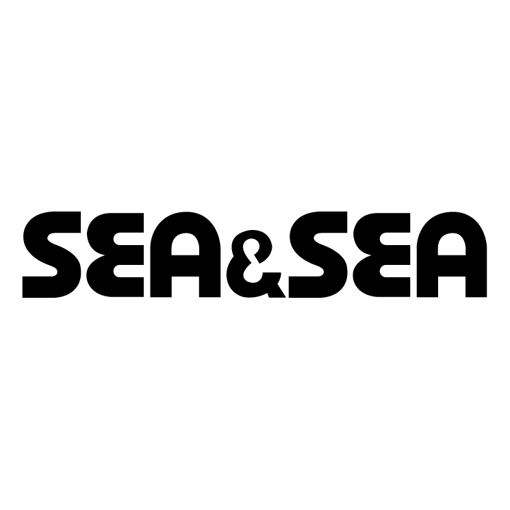 free vector Sea sea