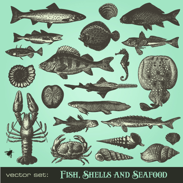 free vector Seafood animals vector