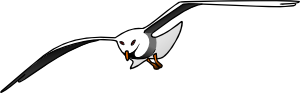 free vector Seagull clip art