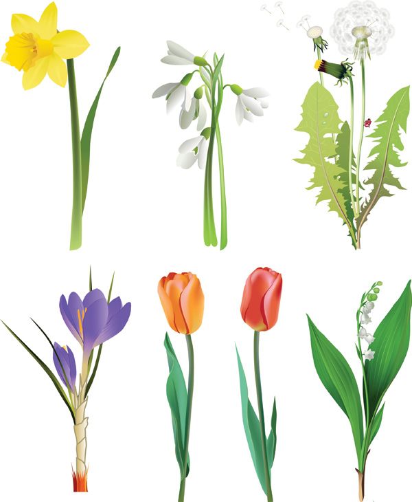 Several flowers vector 20772 Free EPS Download / 4Vector