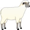 free vector Sheep Ewe clip art