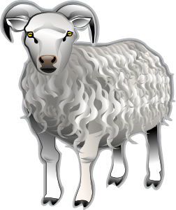 free vector Sheep Md V clip art