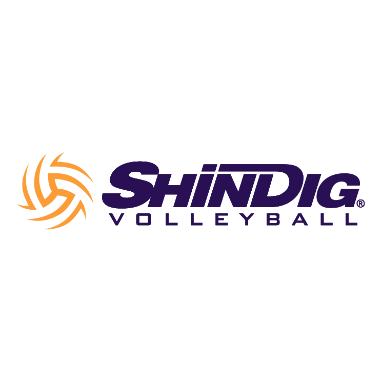 free vector Shindig volleyball