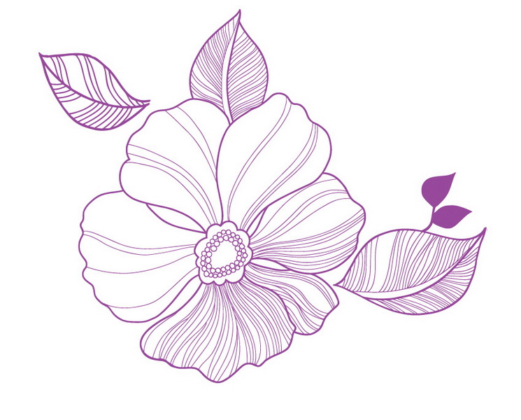 free vector Simple case of a variety of flowers leaves vector