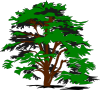 free vector Simple Tree clip art