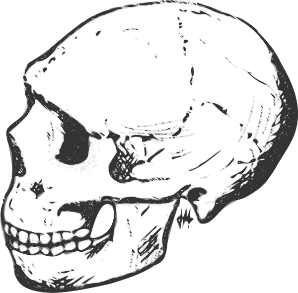 free vector Skull Grayscale clip art