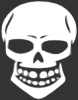 free vector Skull Human X Ray clip art