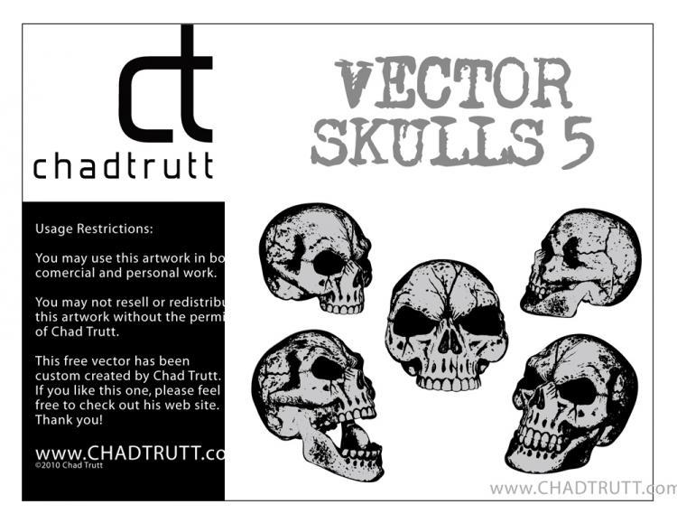 free vector Skull vector