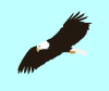 free vector Soaring Eagle clip art