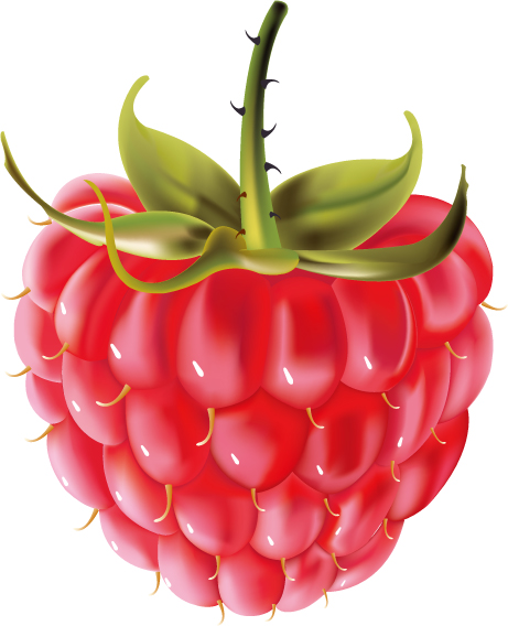 free vector Some red fruits vector