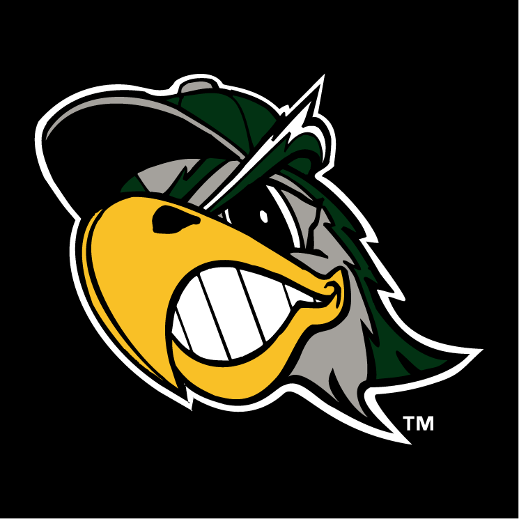 free vector South bend silver hawks 1