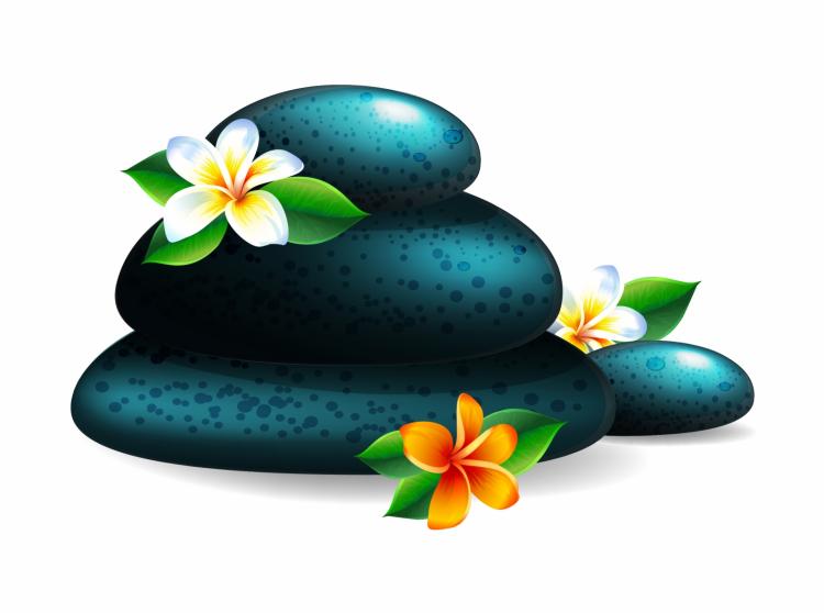 free vector Spa stone and flower