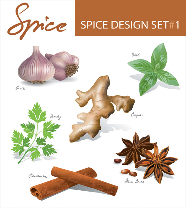 free vector Spices vector