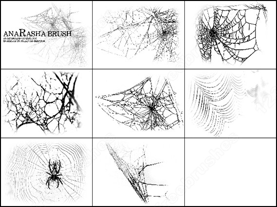 free vector Spiders web brush