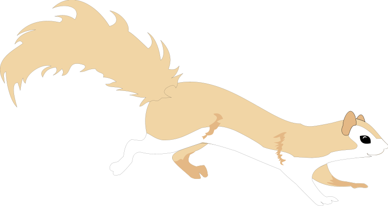 free vector Squirell