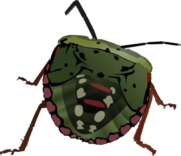 free vector Stink Bug clip art