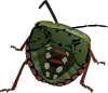 free vector Stink Bug clip art