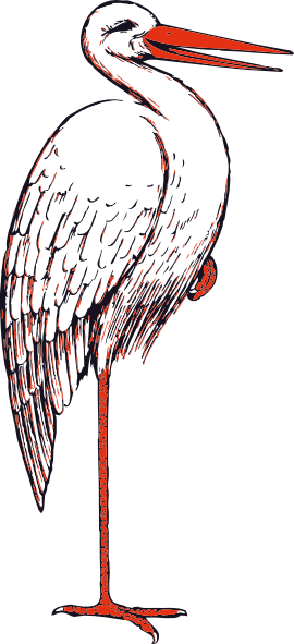 free vector Stork clip art