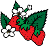 free vector Strawberries clip art