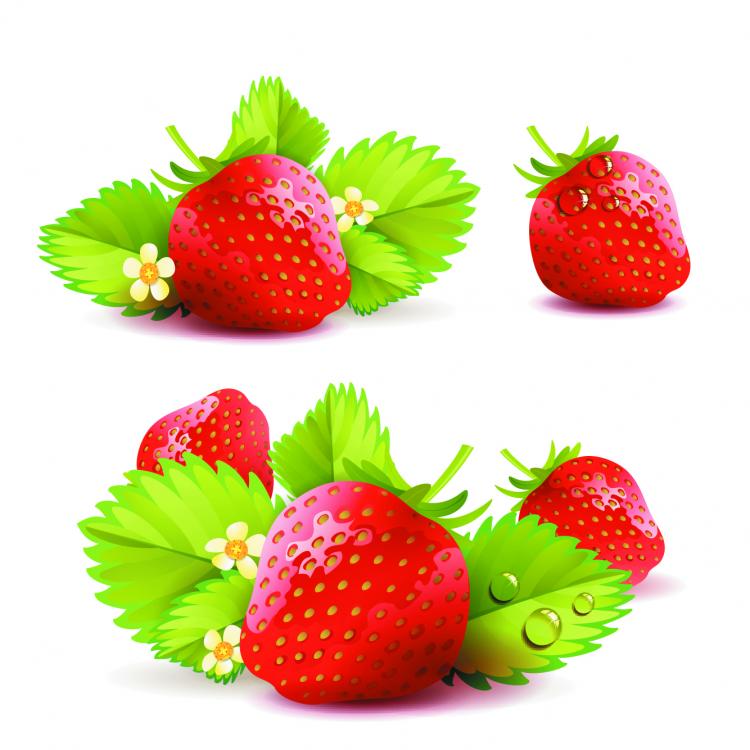 free vector Strawberry theme background 05 vector