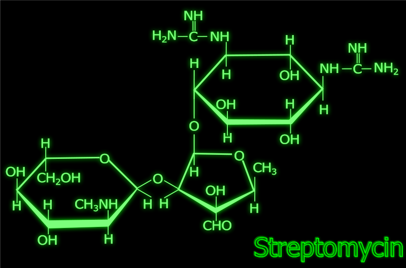 free vector Streptomycin structure