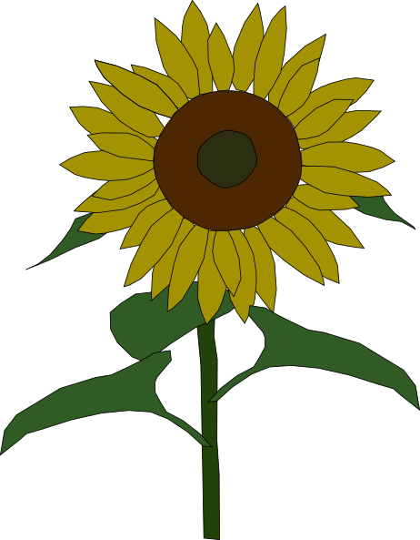 Sun Flower clip art Free Vector / 4Vector