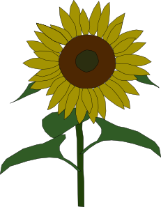free vector Sun Flower clip art