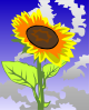 free vector Sunflower Against Blue Sky clip art