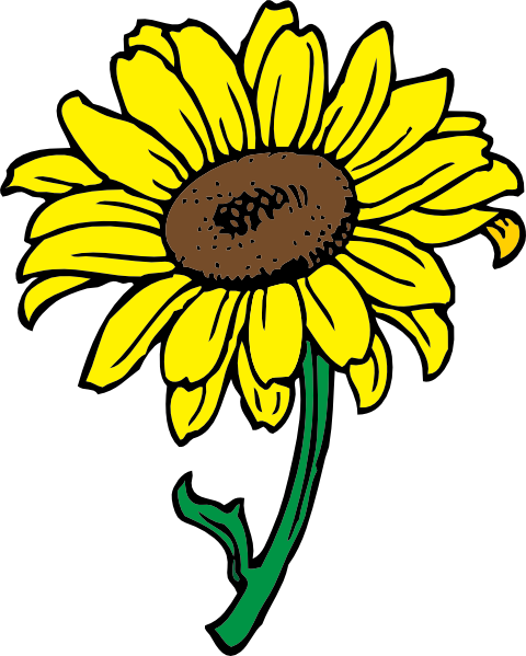 Download Sunflower clip art (107662) Free SVG Download / 4 Vector