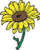 Free Free 312 Vector Transparent Sunflower Svg SVG PNG EPS DXF File